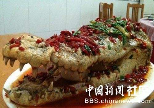 圖片15 圖片15
