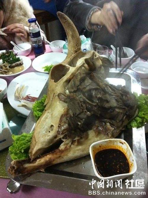 圖片17 圖片17