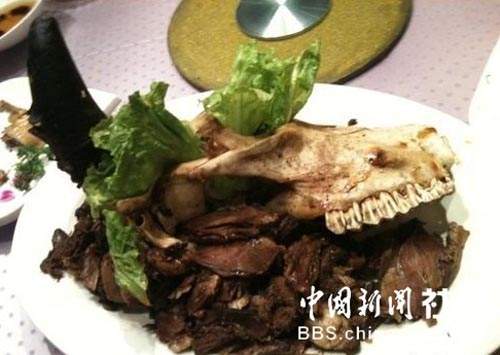 圖片18 圖片18