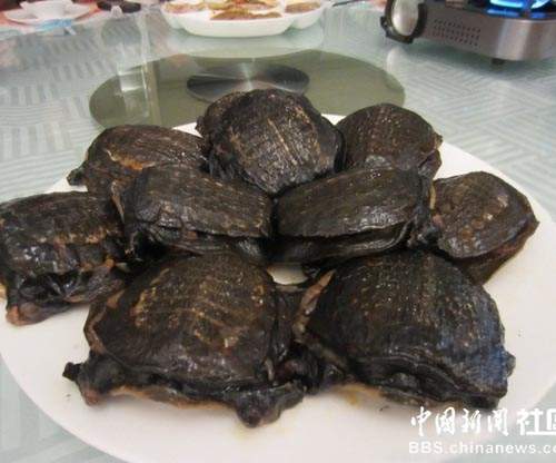 圖片19 圖片19