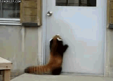 圖片7 圖片7