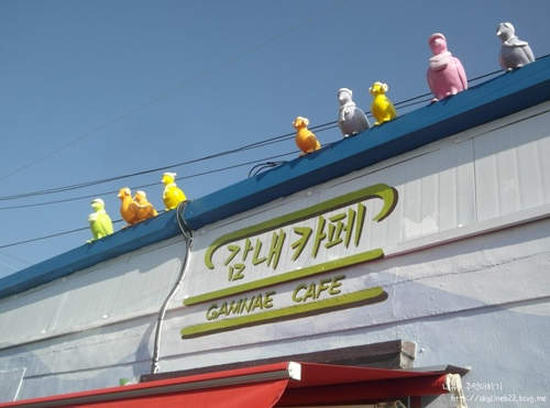 圖片12 圖片12