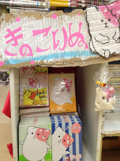 圖片11 圖片11