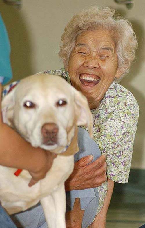 圖片8 圖片8