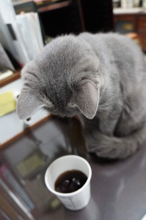 圖片4 圖片4