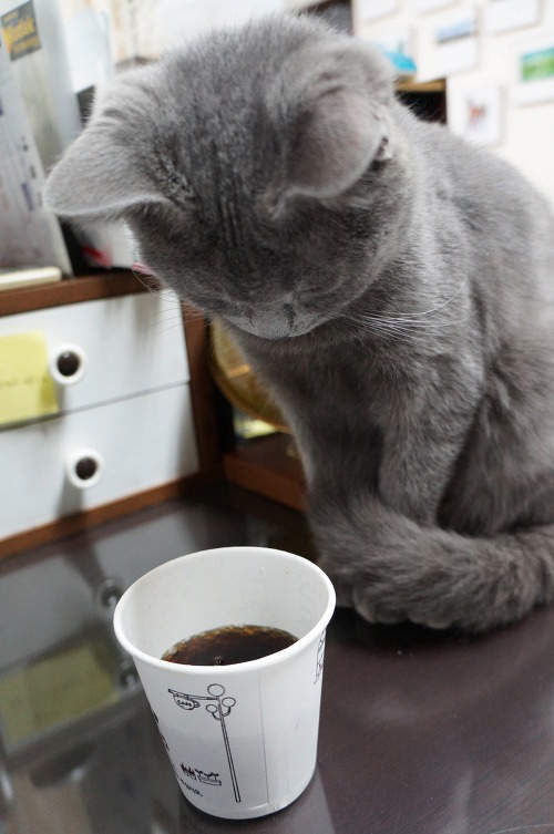 圖片5 圖片5