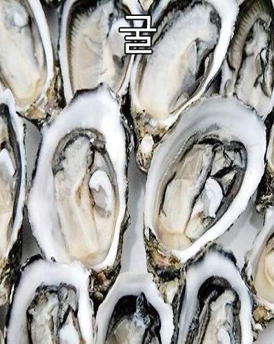 圖片4 圖片4