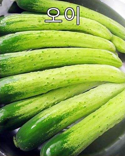 圖片5 圖片5