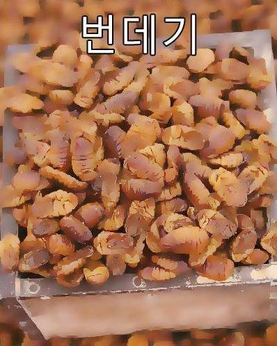 圖片10 圖片10