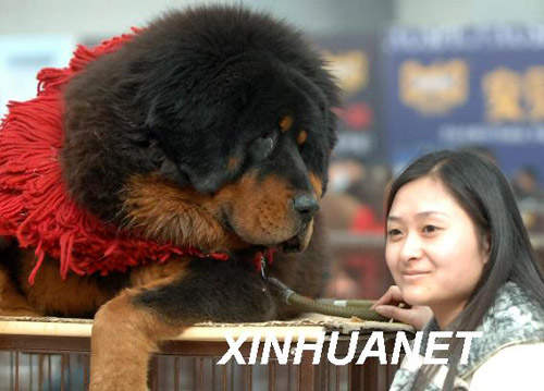 圖片9 圖片9