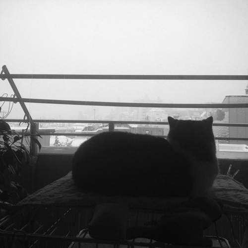 圖片11 圖片11