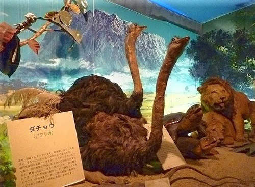 圖片18 圖片18