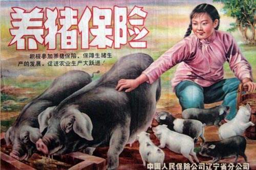 圖片11 圖片11