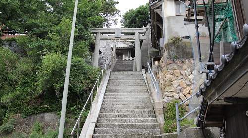 圖片16 圖片16