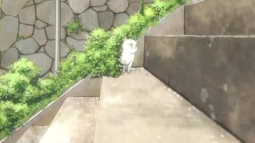 圖片17 圖片17