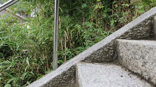 圖片18 圖片18