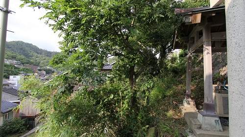 圖片20 圖片20