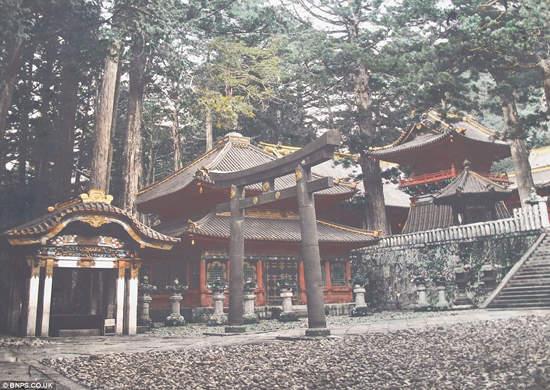 圖片14 圖片14