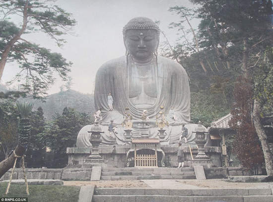 圖片17 圖片17