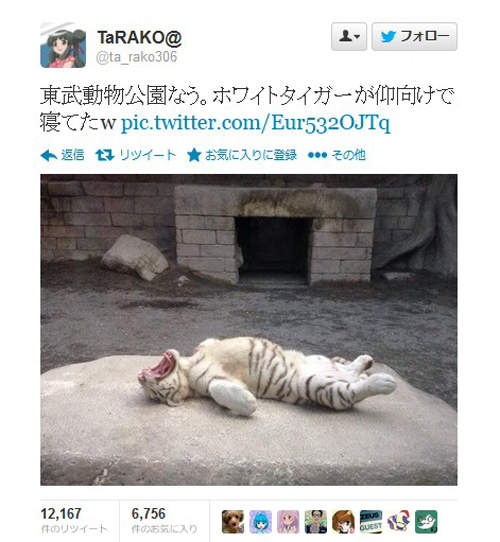 圖片13 圖片13