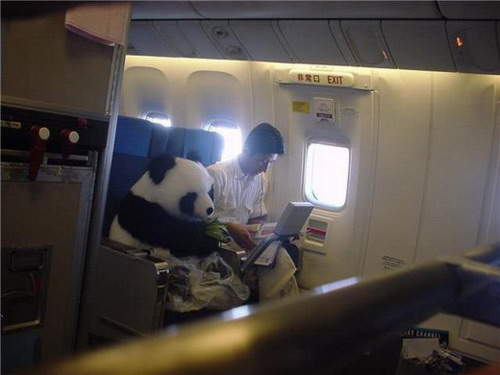 圖片5 圖片5