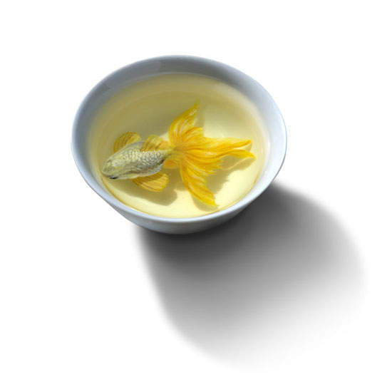 圖片10 圖片10