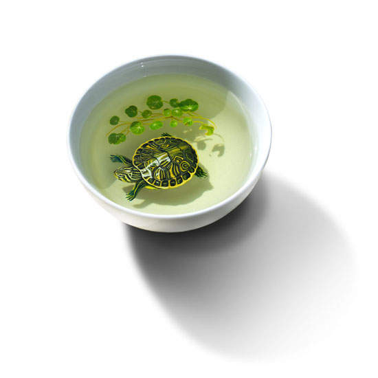 圖片11 圖片11