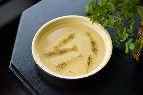 圖片6 圖片6