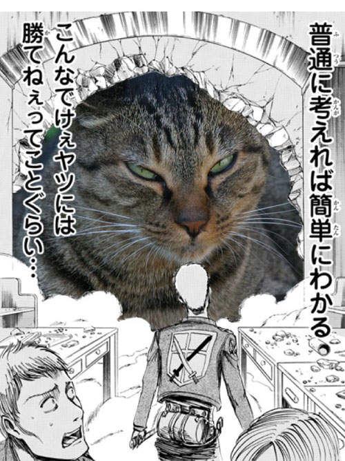 圖片8 圖片8