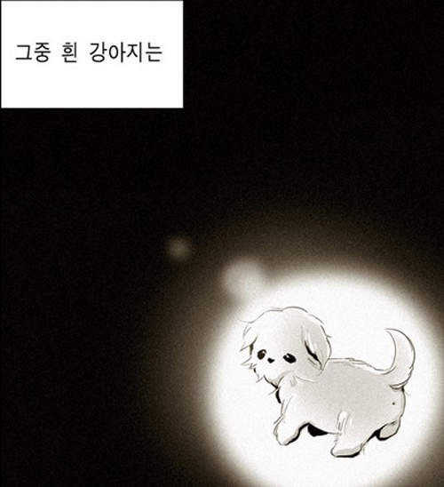 圖片5 圖片5