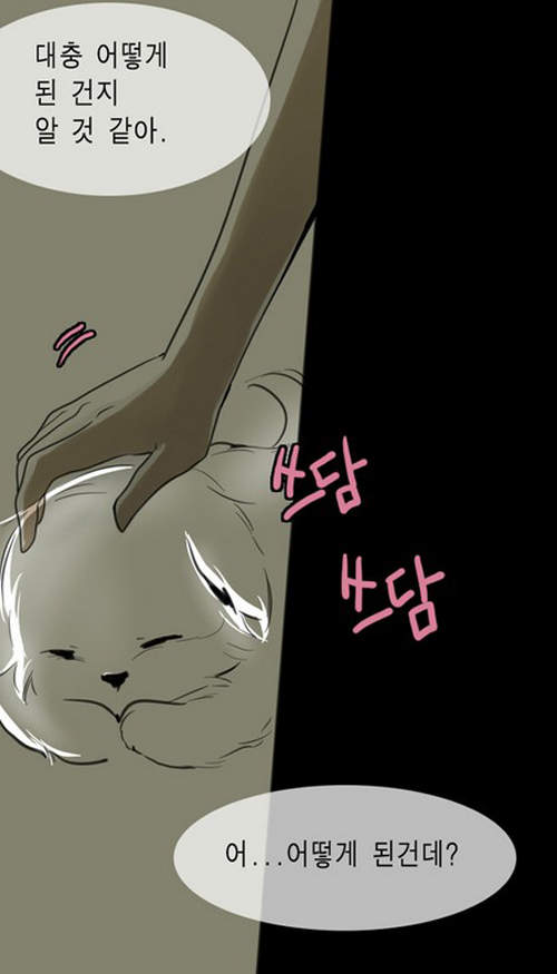 圖片50 圖片50