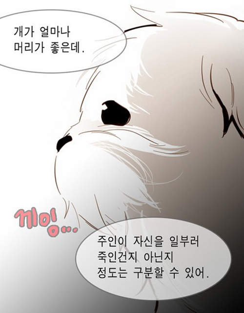 圖片59 圖片59