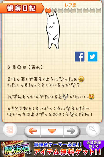 圖片8 圖片8