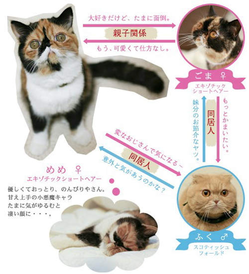 圖片4 圖片4