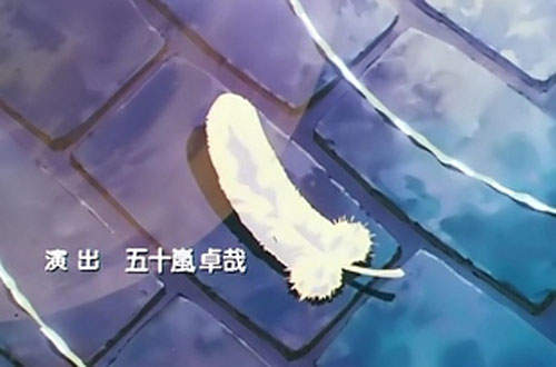 圖片16 圖片16