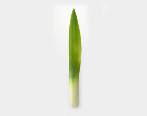 圖片6 圖片6