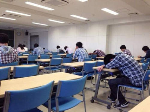圖片11 圖片11