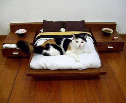 圖片4 圖片4
