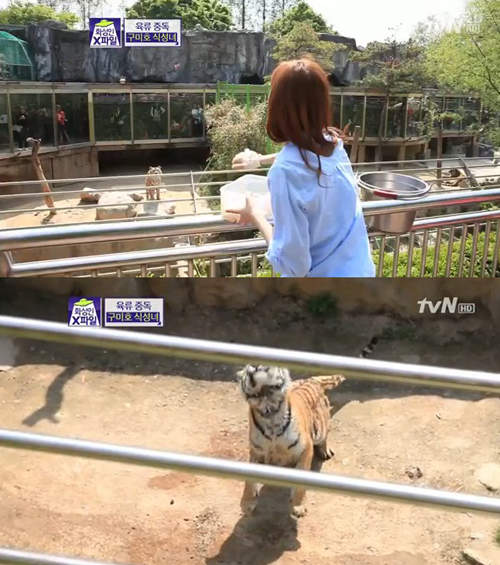圖片57 圖片57