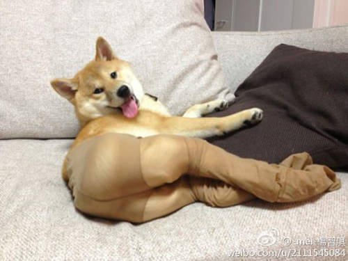圖片12 圖片12