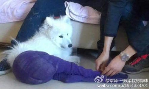 圖片15 圖片15