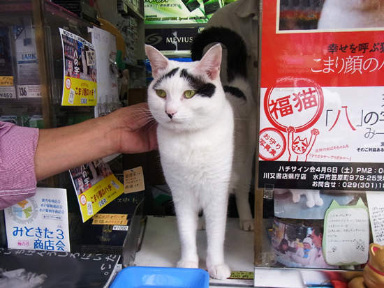 圖片4 圖片4