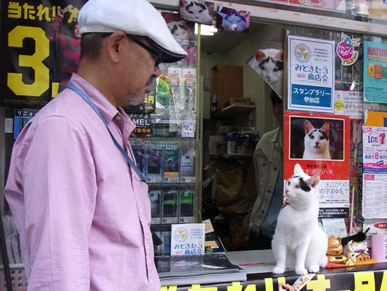 圖片5 圖片5