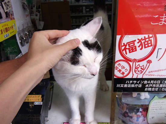 圖片6 圖片6