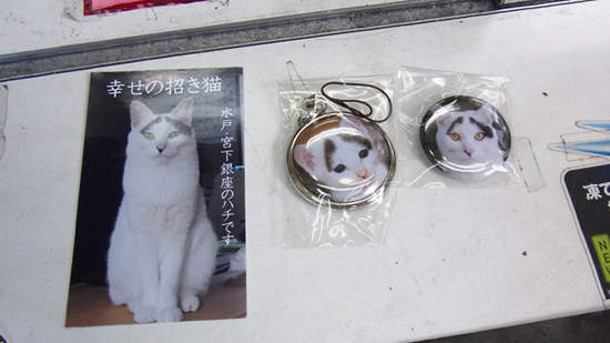 圖片9 圖片9