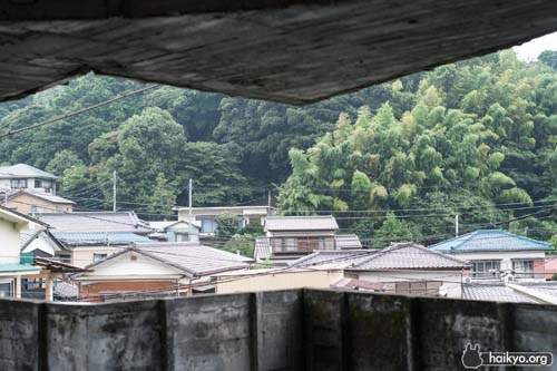 圖片19 圖片19