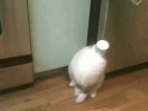 圖片11 圖片11
