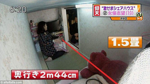 圖片11 圖片11