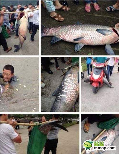 圖片9 圖片9