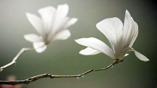 圖片15 圖片15